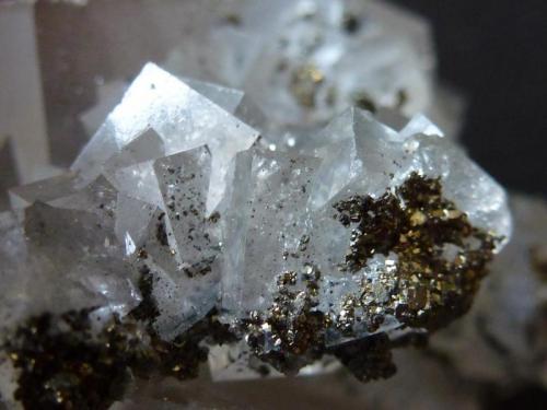 Fluorita con Pirita
Le Burg Mine, Alban-La Fraysse, Tam, Midi-Pyrénéss, Francia
10 x 6 cm.

Detalle (Autor: javier ruiz martin)