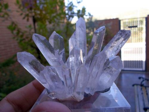 Cuarzo
Los Arenales, Cáceres, Extremadura, España
4 cm el cristal más largo.
Composición de 12 puntas de cuarzo unidas sobre un soporte. (Autor: Cristalino)
