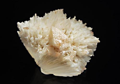 Powellite
Savada, Jalgaon Dist., Maharashtra, India
5.0 x 7.0 cm.
A yellowish, pseudo-octahedral powellite crystal on white scolecite. (Author: crosstimber)