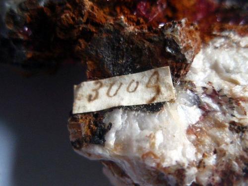 Cuprite var chalcotrichite
Fowey Consols, Tywardreath, St. Austell, Cornwall, England, UK
Talling number 2009 on side of specimen (Author: ian jones)