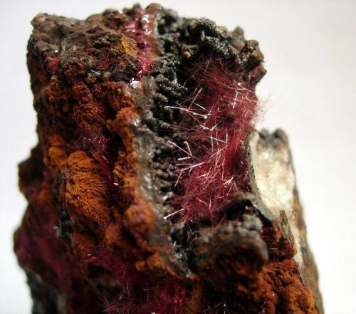 Cuprite var chalcotrichite
Fowey Consols, Tywardreath, St. Austell, Cornwall, England, UK
this cavity 20x12 (Author: ian jones)
