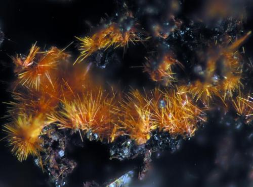 Goethita<br />Segunda Santa Isabel Mine, Navajo Plateau, De Enmedio Range, Almendricos, Lorca, Comarca Alto Guadalentín, Region of Murcia (Murcia), Spain<br />FOV 2 mm<br /> (Autor: Cesar M. Salvan)