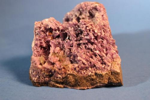 Amesite (variety Chromian)
Saranovskii Mine, Saranovskaya Village, Gornozavodskii area, Permskaya Oblast’, Middle Urals, Urals Region, Russia
10.3 x 6.8 cm (Author: Don Lum)
