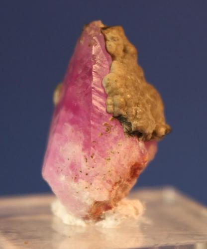 Calcite (Cobaltoan), Kolwezite
Mashamba West Mine, Kolwezi, Katanga, Democratic Republic of the Congo
2.6 x 1.8 cm
ex Gilbert Gauthier (Author: Don Lum)