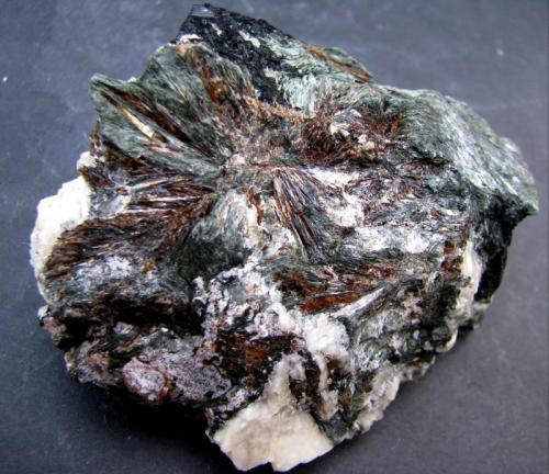Astrofilita
Macizo de Khibiny, Península de Kola, Rusia.
70 x 61 x 34 mm. (Autor: José Luis Zamora)