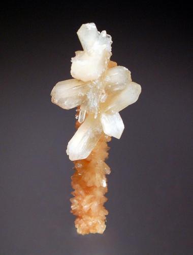 Stilbite
Aurangabad District, Maharashtra, India
3.2 x 8.0 cm.
A group of colorless stilbite crystals attached to a thin stalactite of salmon-colored heulandite crystals (Author: crosstimber)