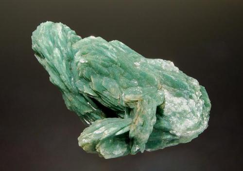 Stilbite
Sakur, Ahmednagar District, Maharashtra, India
4.0 x 8.1 cm.
A group of stilbite crystals included with green celadonite. (Author: crosstimber)