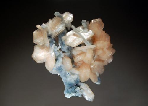 Stilbite
Jalgaon District, Maharashtra, India
7.0 x 7.7 cm.
Pale salmon-colored stilbite crystals on stalactitic drusy blue-gray chalcedony. Collected in 2005. (Author: crosstimber)