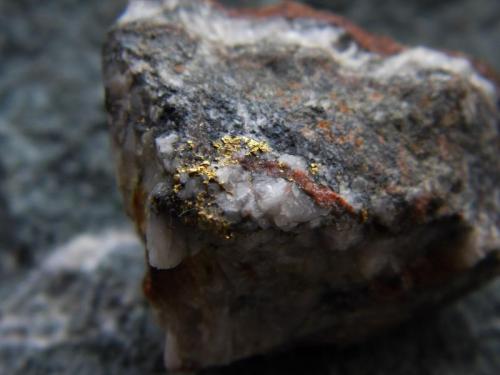 Gold on Quartz
Wright Hardgrave Mine, Kirkland Lake, Ontario, Canada
4cmx3cm

Gold in quartz (Author: derrick)