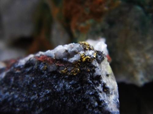 Gold on Quartz
Wright Hardgrave Mine, Kirkland Lake, Ontario, Canada
4cmx3cm

Gold in molly and quartz (Author: derrick)