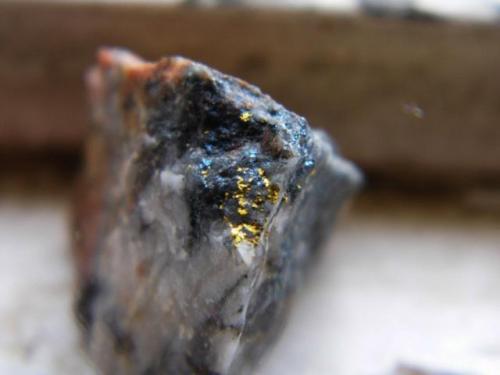 Gold on Quartz
Wright Hardgrave Mine, Kirkland Lake, Ontario, Canada
3cmx3cm

Gold in molly and quartz (Author: derrick)