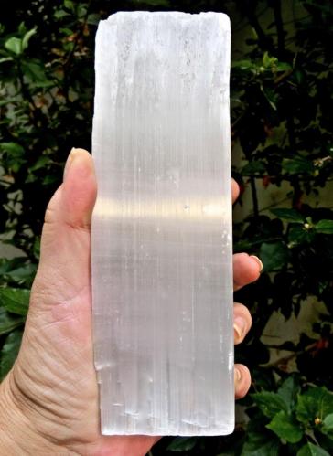 Yeso
Cercanías de Erfoud, Marruecos.
Altura 20 cm.
La linea brillante se debe a la incidencia de la luz. (Autor: María Jesús M.)