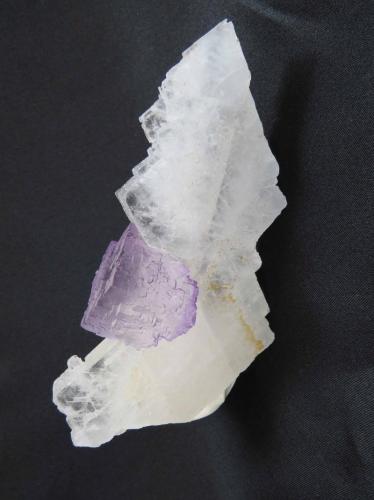 Fluorite on Celestine
Mina El Tule, Melchor Muzquiz, Coahuila Mexico
14 x 8 x 5 cm

3 cm fluorite cube perched on side of 14 x 8 cm Celestine crystal. 2013 Find. (Author: Peter Megaw)