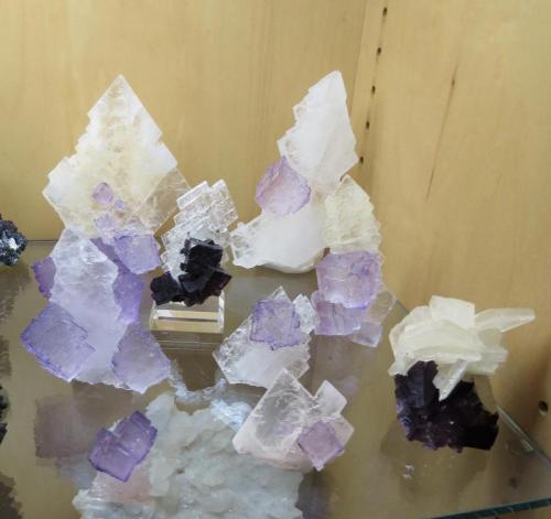 Fluorite on celestine
Mina El Tule, Melchor Muzquiz, Coahuila Mexico
appprox 30 by 30 cm shelf
Group of specimens nominally from the Tule Mine.  Many obviously are from the same locality, others are less certain (Author: Peter Megaw)