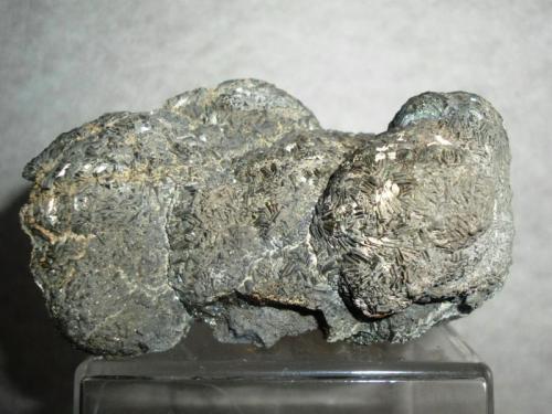 Marcasite
San Vicente mine, Guanajuato, Guanajuato, México
77x56x59mm
 (Author: Carlos M.)