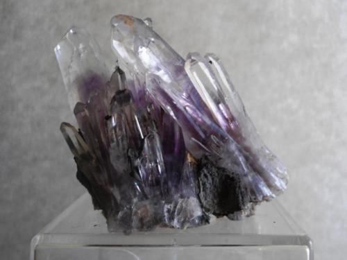 Quartz var. Amethyst
Valenciana mine, Amatitlán, Mun. de E. Neri, Guerrero, Mexico
58x72x45mm (Author: Carlos M.)