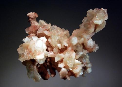 Apophyllite-(KF)
Kolhar, Ahmednagar District, Maharastra, India
9.0 x 11.0 cm.
Colorless to pale pink crystals of apophyllite-(KF) and stilbite covering a coral-like growth of pink chalcedony. Collected in 2005. (Author: crosstimber)