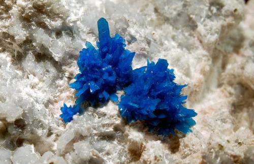 Pentagonite
Quarry #4, Wagholi, Pune District, Maharashtra, India
6.0 x 6.2 cm., FOV~4.0 cm.
Two groups of pentagonite resting on a crust of blue chalcedony and white mordenite on brown basalt. (Author: crosstimber)