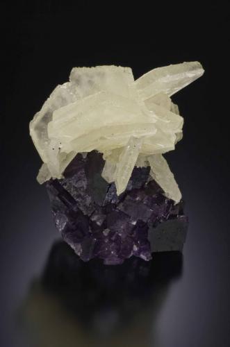 calcite on fluorite
Mina El Tule, Melchor Muzquiz, Coahuila, Mexico
9 x 8 x 7 cm
Twinned platy calcite on dark purple petroliferous fluorite.
Peter Megaw specimen, Jeff Scovil photograph (Author: Peter Megaw)