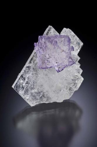 fluorite on celestine
Mina El Tule, Melchor Muzquiz, Coahuila, Mexico
5 x 5 x 3 cm
2 cm fluorite on Celestine.  This fluorite has different luster and color from the others.  Peter Megaw specimen, Jeff Scovil photograph (Author: Peter Megaw)