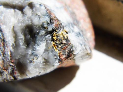 Gold
Wright Hardgraves, Kirkland Lake, Ontario, Canada
4 x 4 cm

Gold in molly and quartz (Author: derrick)