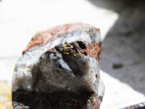 Gold
Wright Hardgraves, Kirkland Lake, Ontario, Canada
4 x 4 cm

Gold in molly and quartz (Author: derrick)