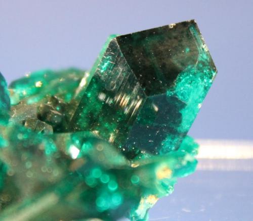 Dioptase
Christoff Mine, Kaokoveld, Namibia
5.1 x 4.7 cm (Author: Don Lum)