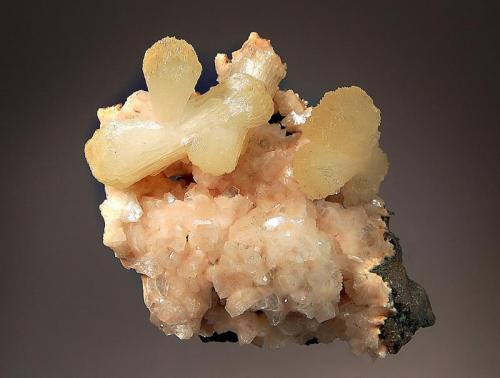 Stilbite
Pune District, Maharastra, India
7.1 x 9.0 cm.
Pale tan stilbite bowties to 4.1 cm on lustrous pink heulandite. (Author: crosstimber)