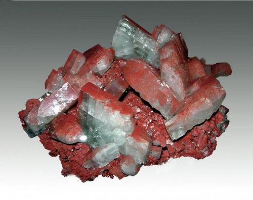 Baryte
Frizington, Cumbria, England, UK
Baryte crystals, typically 5cm, selectively coloured red by included hematite. From an unlocated iron mine in the Frizington area. Specimen 14x12 cm (Author: ian jones)