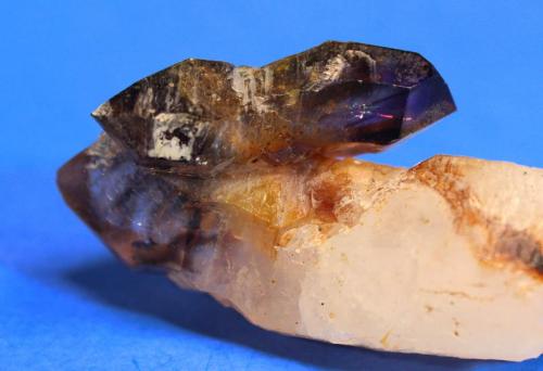 Quartz (var Amethyst, var Smoky)
Brandberg, Namibia
6.0 x 3.2 cm (Author: Don Lum)