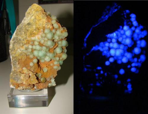 Fluorita
Afloramientos de Singuerlín. Santa Coloma de Gramenet. Barcelonès. Barcelona. Cataluña. España
8,5 cm.
Presenta fuerte fluorescencia bajo luz UV de onda larga (Autor: nimfiara)