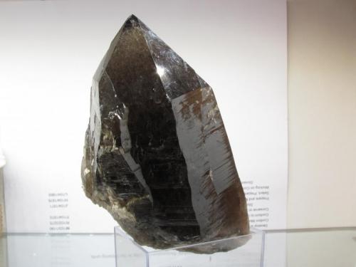 Smoky Quartz
Isle of Arran, Scotland, UK
11.5cm x 6cm x 5cm
Same specimen as above (Author: Mike Wood)