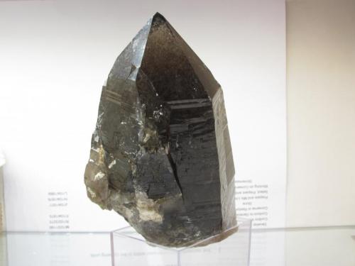 Smoky Quartz
Isle of Arran, Scotland, UK
11.5cm x 6cm x 5cm
Same specimen as above (Author: Mike Wood)