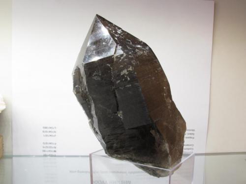 Smoky Quartz
Isle of Arran, Scotland, UK
11.5cm x 6cm x 5cm
The best smoky quartz crystal I have found. The termination is good ! (Author: Mike Wood)