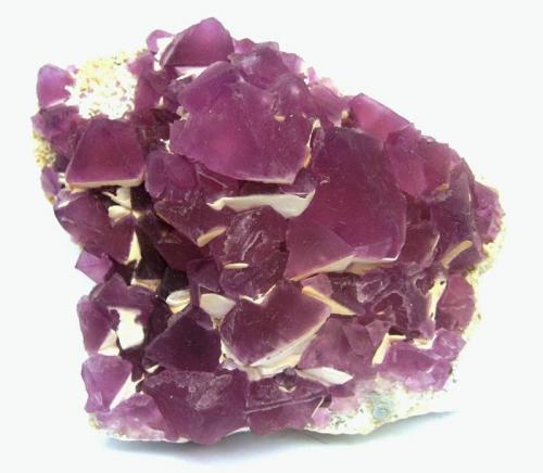 Fluorite (coated by white ???)
Navidad Mine (Mina Navidad; Abasolo Mine; Rodeo Mine), Abasolo, Rodeo, Mun. de Rodeo, Durango, Mexico
Specimen size 10 cm

Very large octahedral crystals for that locality (up to 3 cm) with very intense colour (Author: Tobi)