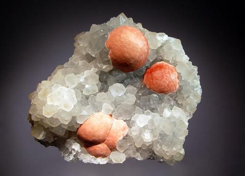 Fluorite
Mahodari Quarry, Nasik District, Maharashra, India
8.1 x 9.0 cm.
Spherical groups reddish-brown opaque fluorite to 2.3 cm in diameter on a crystallized quartz matrix. (Author: crosstimber)