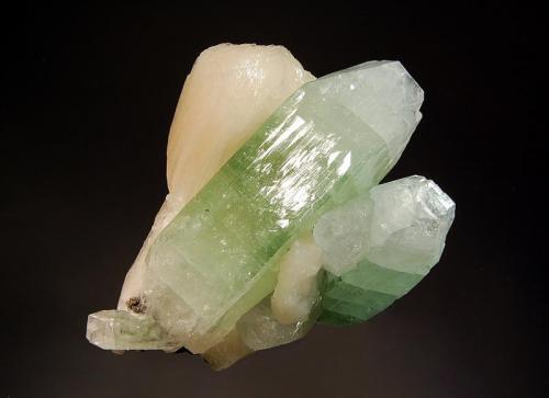 Apophyllite-(KF)
Nasik District, Maharashtra, India
6.5 x 8.5 cm.
Glassy-lustered, prisms of apophyllite to 7.0 cm with central green zones and colorless terminations flanked by pale tan stilbite crystals. (Author: crosstimber)