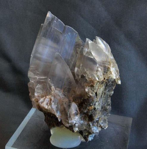 Yeso<br />El Chícamo Quarry, Macisvenda, Abanilla, Comarca Oriental, Region of Murcia (Murcia), Spain<br />7 x 4.5 cm.<br /> (Autor: Pedro Antonio)