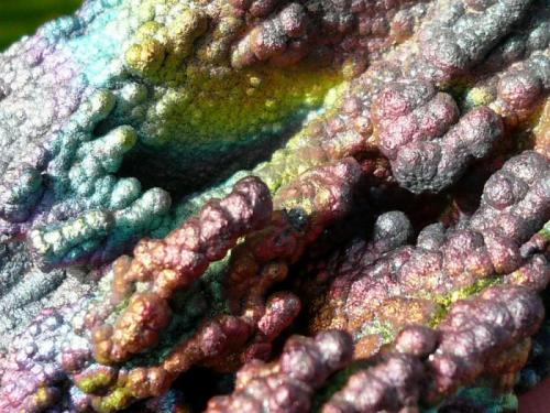 Goethita
Tharsis, Huelva, Andalucía, España.
10,5 x 3 cm (Autor: nerofis2)