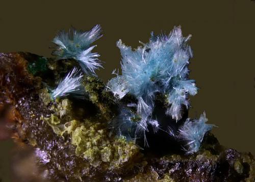 Devillina.
Corta "San Valentín", La Unión, Murcia, Región de Murcia, España.
Campo de visión de 1 mm. (Autor: Antonio Carmona)