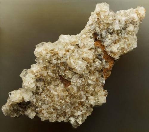 Fluorite.
Middlegrove Vein, Killhope, Weardale, Co Durham, England, UK.
85 mm specimen with crystals to 6 mm. (Author: Ru Smith)