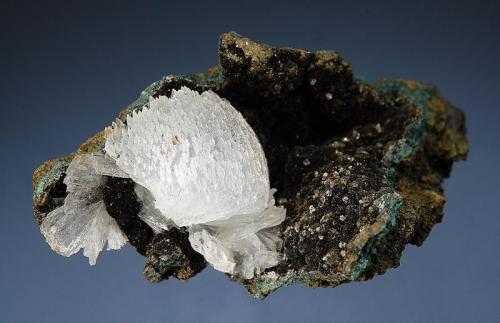 Epistilbite
Sauda Quarry, Jalgaon District, Maharashtra, India
3.5 x 5.4 cm.
Colorless, translucent fan-shaped group of epistilbite in a cavity lined with drusy chamosite. (Author: crosstimber)