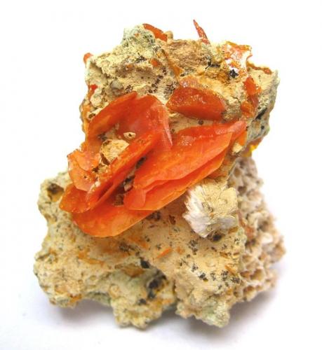 Wulfenite
Mibladen Mining District, Midelt, Khénifra Province, Meknès-Tafilalet Region, Morocco
Specimen height 3 cm (Author: Tobi)