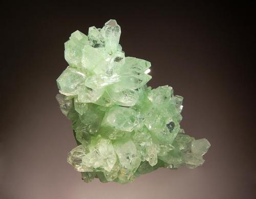 Apophyllite-(KF)
Khadakvasia, Pune District, Maharashtra, India
7.5 x 7.6 cm.
A mounded group of mint green, apophyllite crystals with pyramidal terminations and zones of darker green at the center of the prism (Author: crosstimber)