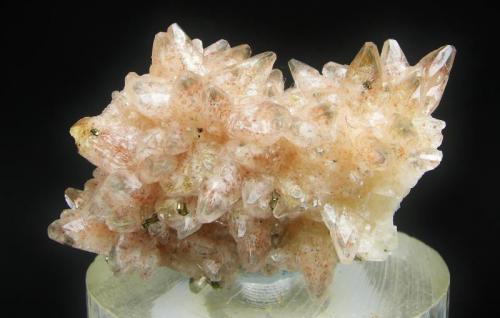 Calcita Cobaltífera + Pirita
Agoudal - Bou Azzer - Tazenakht - Ouarzazate - Marruecos
5.3 x 3.2 cm (Autor: Diego Navarro)