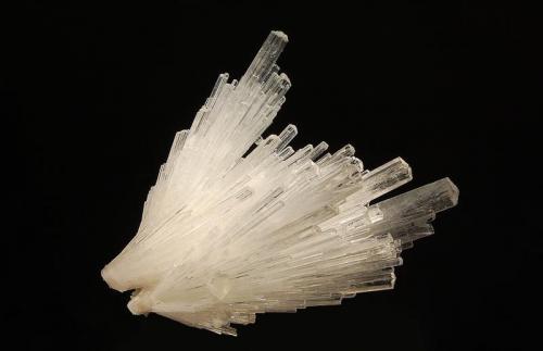 Scolecite
Chalisgaon, Nasik District, Maharashtra, India
8.0 x 10.0 cm.
A divergent spray of colorless, thick-bladed scolecite crystals. Barely visible in the picture are several rhombic calcite crystals attached to the prism sides. (Author: crosstimber)