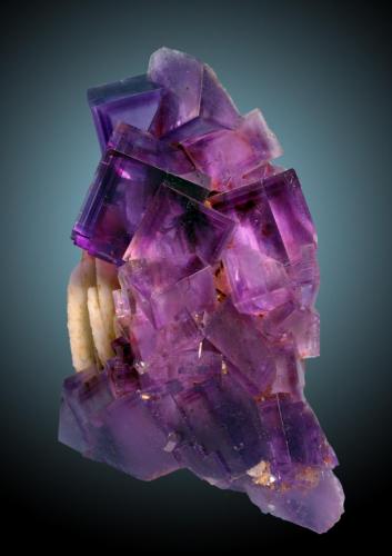 Fluorita, Baritina
La Cabaña, Zona Minera de Berbes, Ribadesella, Asturias, España
9 x cm, cristales hasta 2 cm de arista
Ejemplar figurado en Mineral Up y en el Libro de La Fluorita Asturiana. (Autor: Raul Vancouver)