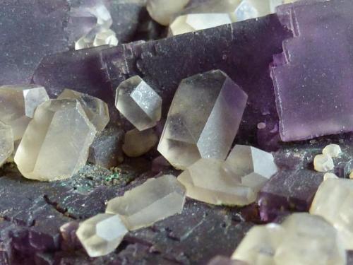 Fluorita y Calcita
Denton Mine, Harris Creek, Hardin, Illinois, USA
10 x 7 cm.

Detalle (Autor: javier ruiz martin)