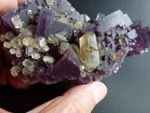 Fluorita y Calcita
Denton Mine, Harris Creek, Hardin, Illinois, USA
10 x 7 cm.

Detalle (Autor: javier ruiz martin)