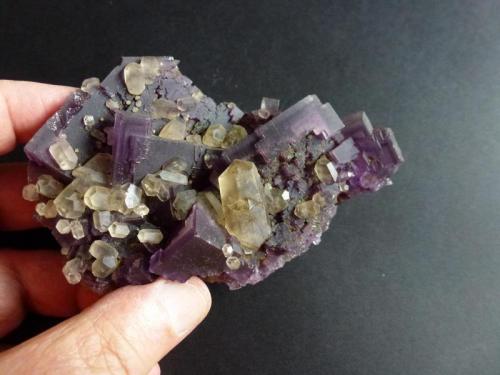 Fluorita y Calcita
Denton Mine, Harris Creek, Hardin, Illinois, USA
10 x 7 cm. (Autor: javier ruiz martin)